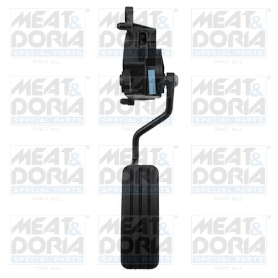 Accelerator Pedal Unit
